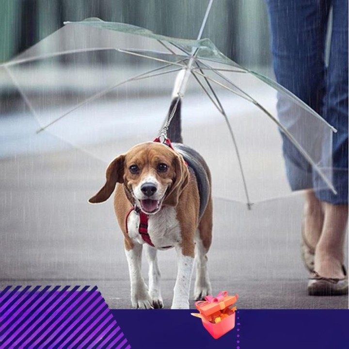 Regenschirm-Leine für Haustiere, regendicht, schneefest, Regenschirm-Leine für kleine Hunde, verstellbar, Hunde-Walking-Werkz