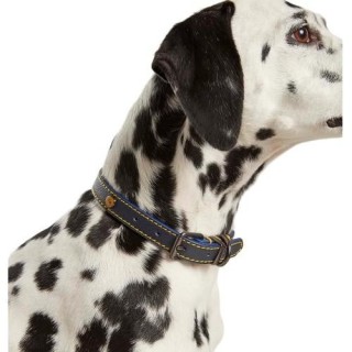 Joules Hundehalsband aus Leder Small dunkelblau
