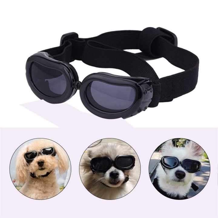 Hundebrille, kleine Hundesonnenbrille, wasserdicht, winddicht, UV-Schutz, Hundebrille für Hündchen und Welpen