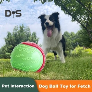 1/4 Stück Quietschbälle für Hunde, interaktives Hundespielzeug für das Training von Welpen, Kaubälle, Zahnungsspielzeug, Appo