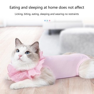 Bequemer Genesungs-Bodysuit für Katzen zum Schutz von Wunden. Auslaufsicherer Genesungsanzug für kastrierte Katzen nach Opera
