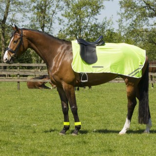 QHP Ausreitdecke Reflexion