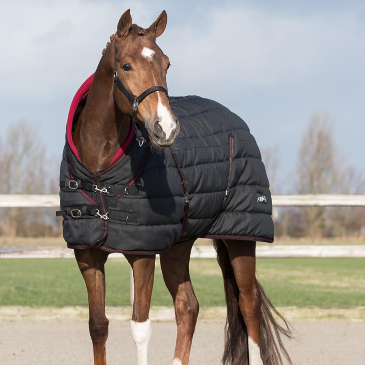 QHP Collection Stalldecke Luxus 200g