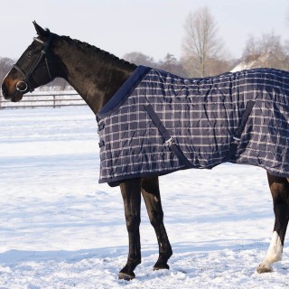 QHP Stalldecke Luxus 300g