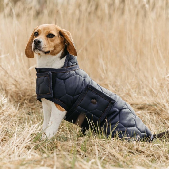 QHP Hundedecke Classy