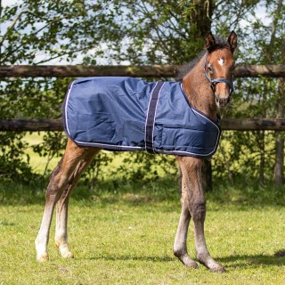 QHP Fohlendecke Turnout 100gr