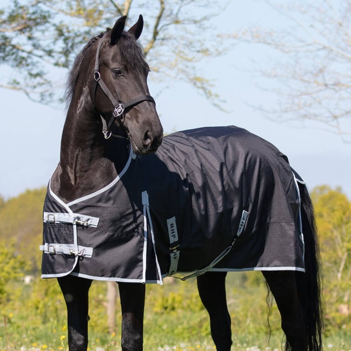 QHP Turnout Weidedecke 300g Big Neck