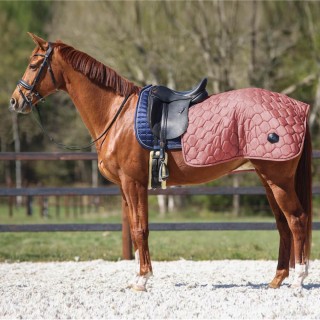 QHP Ausreitdecke Quarter Classy