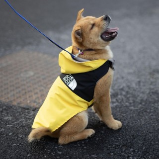 Haustierkleidung Herbst Frühling Winter Haustier Hund wasserdichte warme Mantel Kapuzenjacke für kleine mittelgroße Hunde Kle