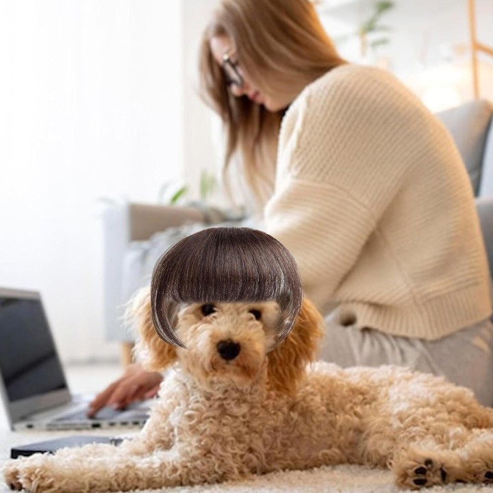 Bequeme Haustierperücke, Festival-Requisiten, Kostümperücke, Haar für kleine Hunde, Themenveranstaltung, Haustier-Cosplay-Zub