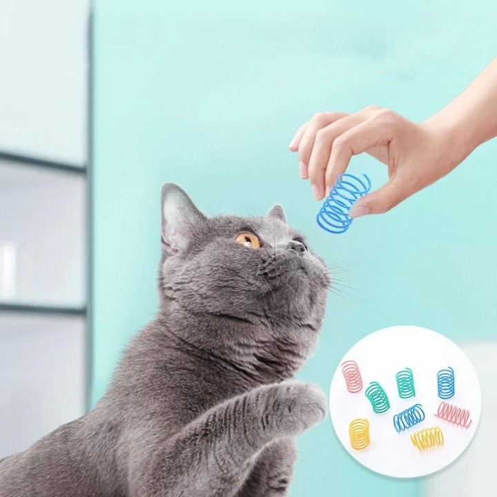 20 Stück Katzenfederspielzeug aus Kunststoff, bunte Spiralfedern, Katzenspielzeug, Kätzchen, Spielen, interaktives Spielzeug,