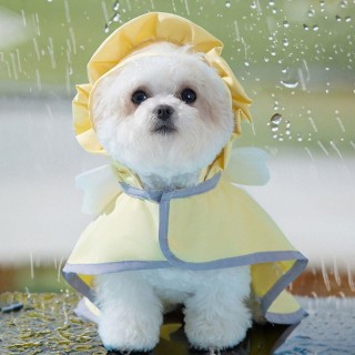 Wasserdichter Welpen-Kurzarm-Outdoor-Regenmantel mit Kapuze für süße Hunde S blau