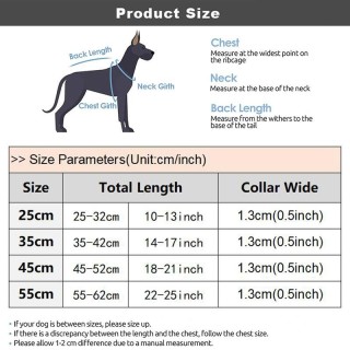 Goldenes Hundehalsband mit Kette für große Hunde, Cosplay, lustiges Halsband für französische Bulldoggen, Punk-Halskette mit