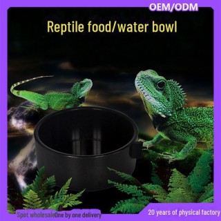 Reptilien-Futterbox mit Wasserbecken und Futternapf für Kleintiere wie Hamster, Geckos, Eidechsen, Insekten und Hornfrösche.