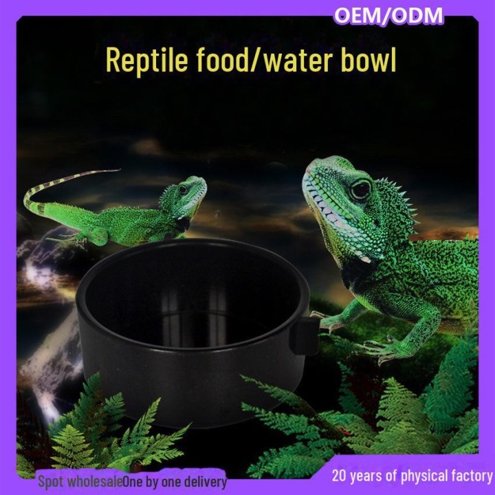 Reptilien-Futterbox mit Wasserbecken und Futternapf für Kleintiere wie Hamster, Geckos, Eidechsen, Insekten und Hornfrösche.