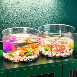 Rotierendes Desktop-Aquarium: Transparentes Aquarium mit Mikro-Landschaftsornamenten für Schildkröten und Kampffische without