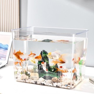 Transparentes Luxus-Aquarium mit Trennwand: Ökologisches Tischaquarium für Kampffische, Goldfische und Schildkröten mit Wasse