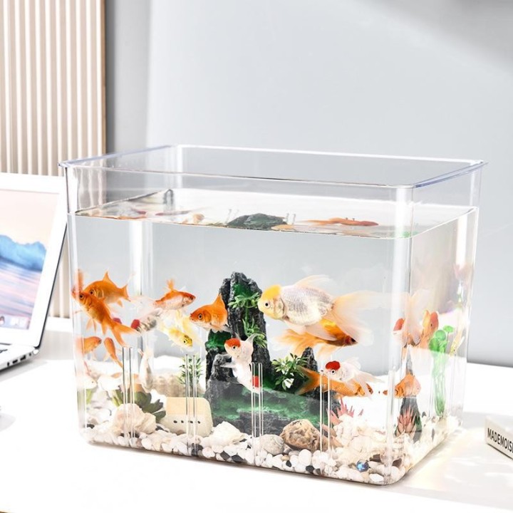 Transparentes Luxus-Aquarium mit Trennwand: Ökologisches Tischaquarium für Kampffische, Goldfische und Schildkröten mit Wasse