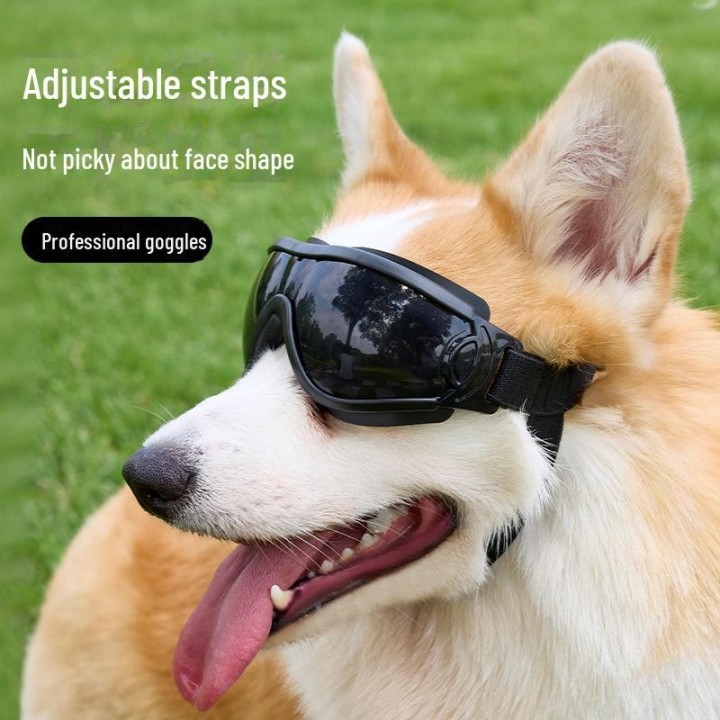 Einstellbare UV-Schutz Cool Pet Brille: Hundebrille S rot
