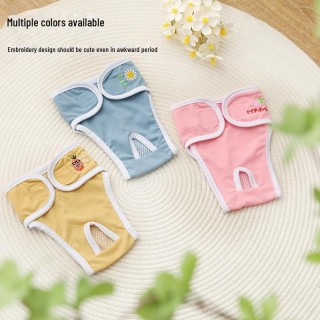 Hygienehosen für Hündinnen: Anti-Belästigung-Windeln für Teddy & Bichon S