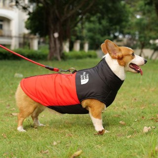 L-7XL Winter wasserdichte warme Corgi-Jacke Warme Hundejacke Mittlerer Hund Großer Hund Labrador Winterausflug Kleidung L
