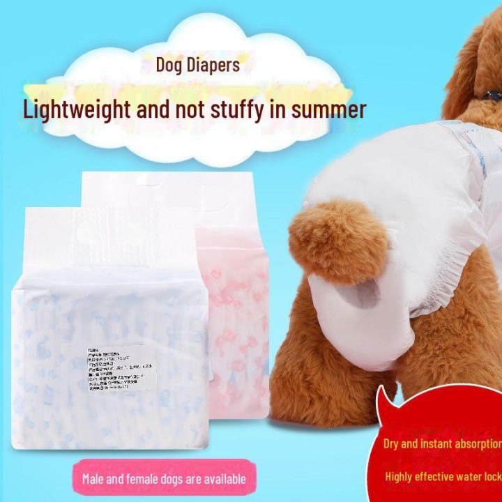 Haustierwindeln: Menstruations-Sicherheitshosen und Urinpads für Hündinnen Female dog size XL