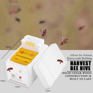 Bienenzucht King Box Bestäuber Bienenzucht Bestäubung Box Schaum Rahmen Bienenzucht Ausrüstung Kit Ernte Bee Hive Box Für Gar