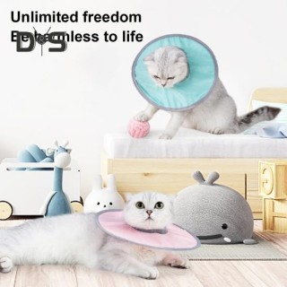 Leichtes kegelförmiges Katzenhalsband, verstellbares Design, wasserdicht, leicht zu reinigen, nach Operationen, schützendes G