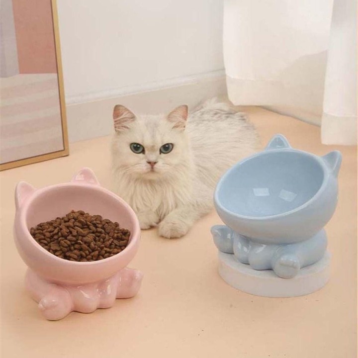 Liefert Schutz Cervical Pet Feeding Bowl Pet Supplies Cat Food Bowl Water Feeder Container weiß