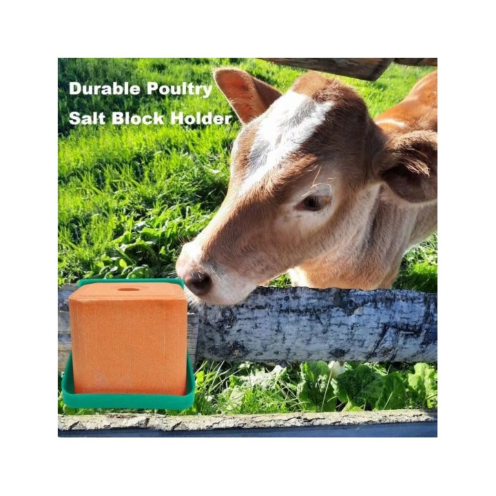Lecksteinkasten für Rinder und Schafe, Salzsteine, Mineralblock-Futterspender, Viehfütterungsgestell, rutschfester Kunststoff