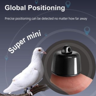 Smart Pet Tracker Standortverfolgungshalsband Echtzeit-Globalpositionierungsmodus Batteriebetriebener Anti-Verlust-Mini-Hunde