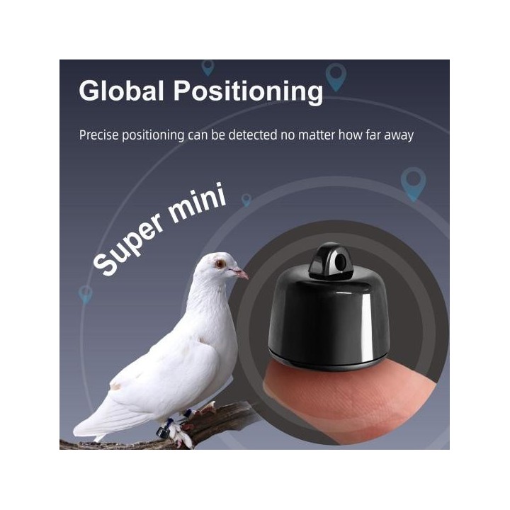 Smart Pet Tracker Standortverfolgungshalsband Echtzeit-Globalpositionierungsmodus Batteriebetriebener Anti-Verlust-Mini-Hunde