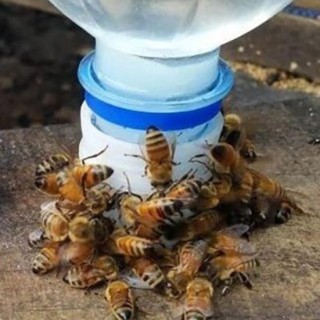 10 Stücke Wasser Effiziente Nadel Loch Kunststoff Typ Anti Ertrinken Feeder Bee Trinken Ausrüstung