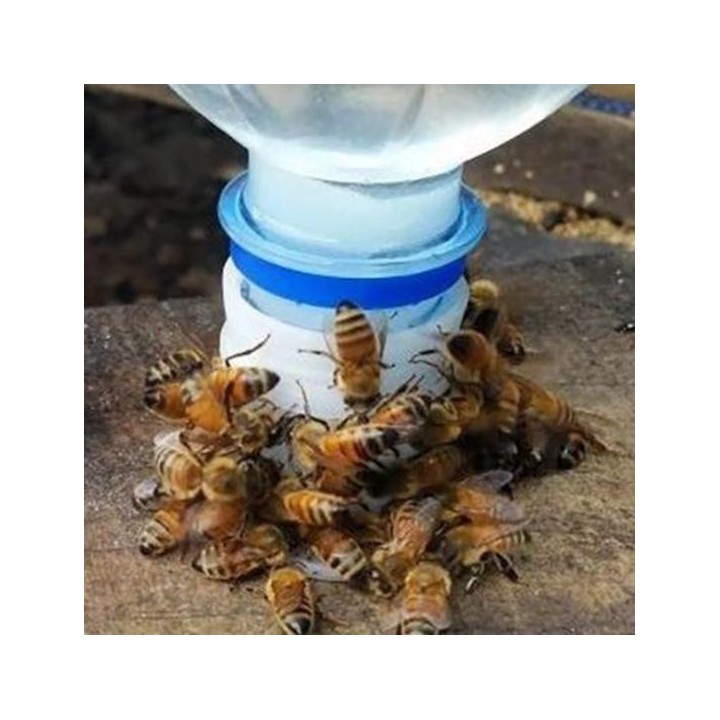 10 Stücke Wasser Effiziente Nadel Loch Kunststoff Typ Anti Ertrinken Feeder Bee Trinken Ausrüstung