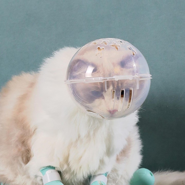 Maulkorb für Katzen, atmungsaktive Haube, leicht, kratzfest, für Haustiere, transparent, zum Baden M