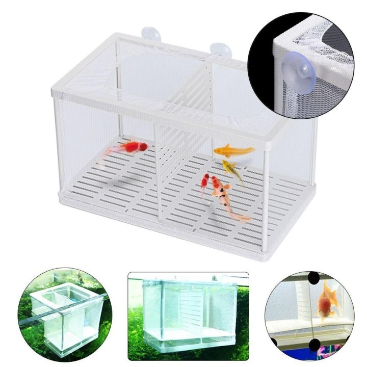 Nützliche Doppel Net Wachsen Samen Halter Aquarium Inkubator Züchter Brüterei Zucht Isolation Box small-A