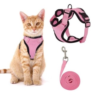 Katzengeschirr und Leine zum Spazierengehen, verstellbares, ausbruchsicheres Katzenwestengeschirr mit Reflektorstreifen für m