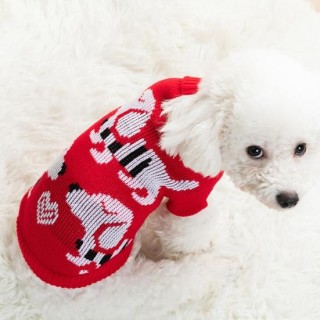 Stilvoller, winddichter, waschbarer Katzen-Strickpullover mit Cartoon-Print und zweibeinigem Hundepullover für zu Hause 4 bla