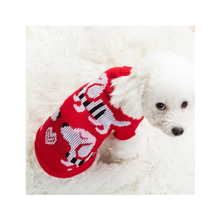 Stilvoller, winddichter, waschbarer Katzen-Strickpullover mit Cartoon-Print und zweibeinigem Hundepullover für zu Hause 4 bla