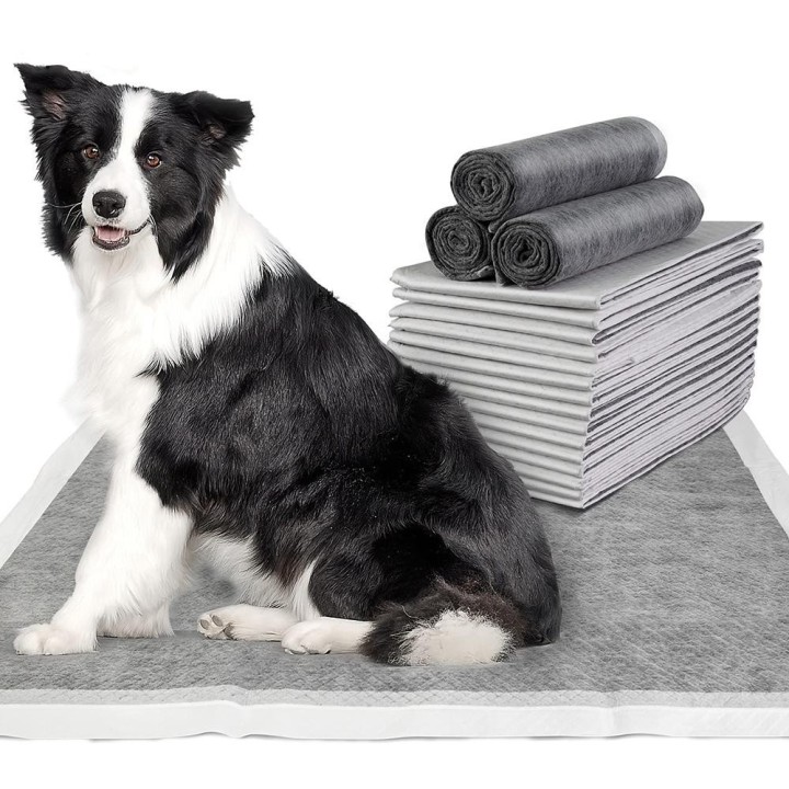 100/50/40/20PCS Saugfähige Hundewindeln Einweg-Welpentrainings-Pee-Pads Schnelltrocknende Bambuskohle-Oberflächenmatte Sauber
