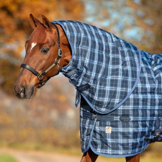 Horseware Rhino Stable Hood 150g