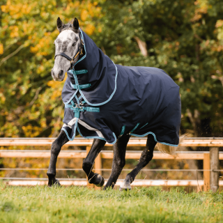 Horseware Amigo Bravo 12 Plus Turnout Medium  250g