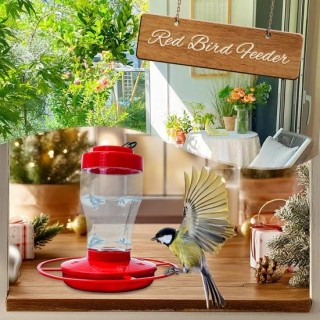 Kolibri-Futterspender für draußen, zum Aufhängen, Vogelfutterspender mit Sitzstange und Bienenschutz, Futteröffnung, auslaufs