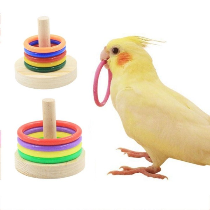 Nymphensittich pädagogische interaktive Vogel Spielzeug Stapeln Ringe Kauen Puzzle Spielzeug Papagei Holz Plattform L