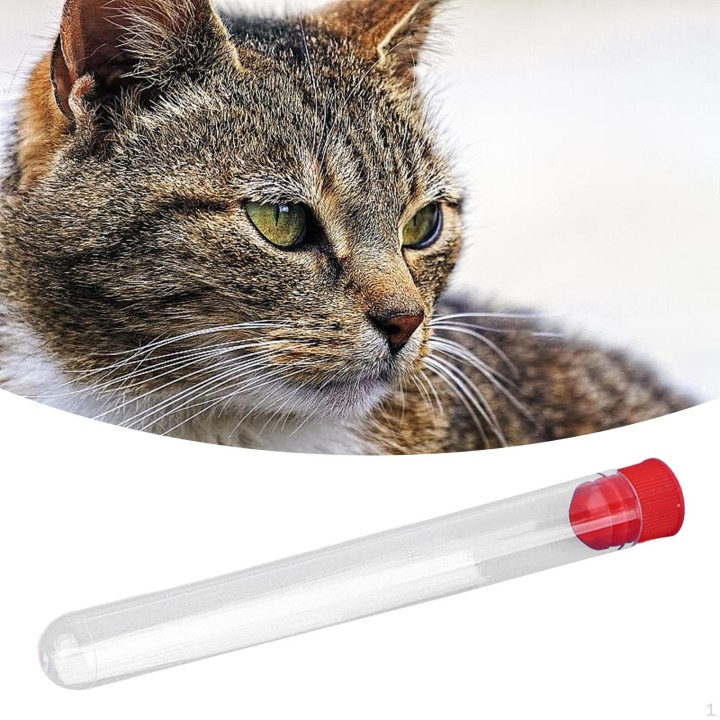 Bastelset „Flauschige Katzenschnurrhaare“ für Anfänger Black Brown 0.2mm