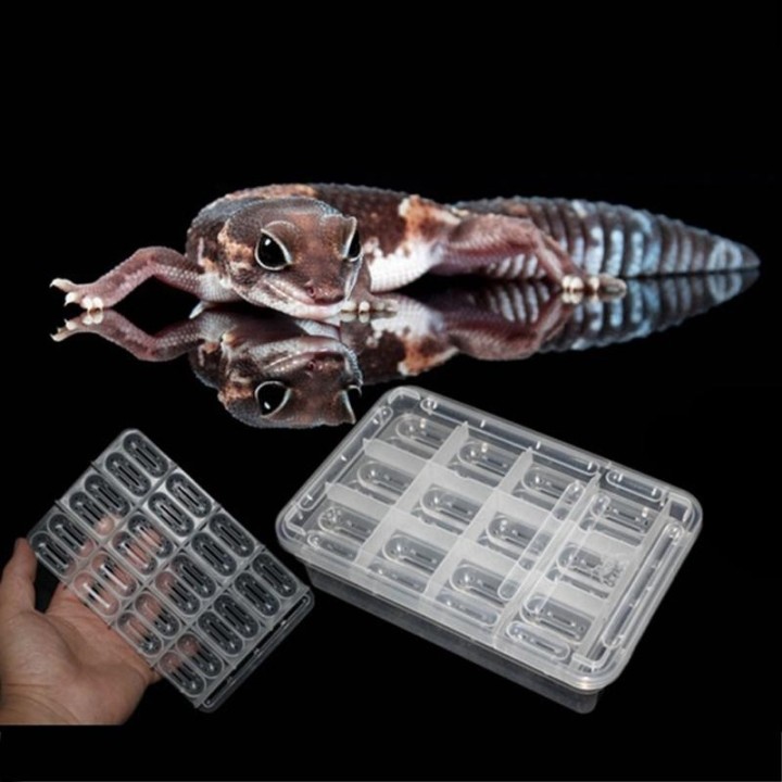 24-Loch-Reptilien-Ei-Inkubationstablett für Schildkröten-Eidechsen-Chamäleon-Eier