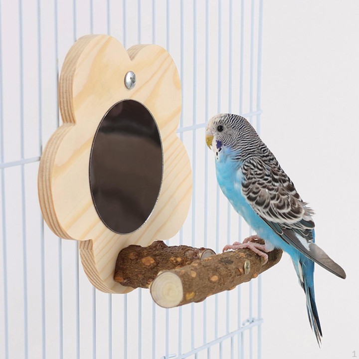 Holzspielzeug für Papageien mit Spiegel, Sitzstangen für Vogelkäfige, interaktives Kauspielzeug, Sitzstange