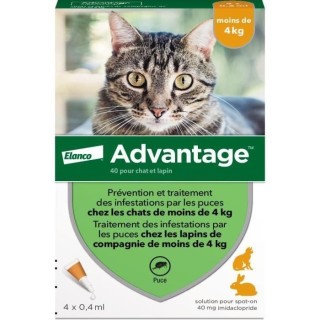 ADVANTAGE Solution Antipuce Chat Lapin 1 bis 4 kg 4 Pipetten