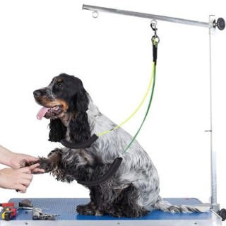 Verstellbarer Verlängerungsgurt für die Fellpflege von Haustieren, langlebige Badeschlaufe für Hunde und Katzen, verhindert e