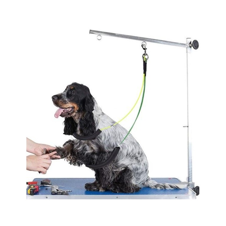 Verstellbarer Verlängerungsgurt für die Fellpflege von Haustieren, langlebige Badeschlaufe für Hunde und Katzen, verhindert e